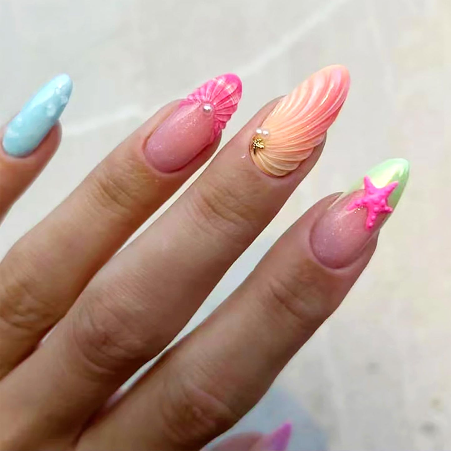 Beach Shell and Starfish